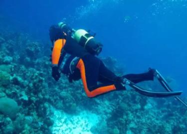 海绵宝宝寻珍宝