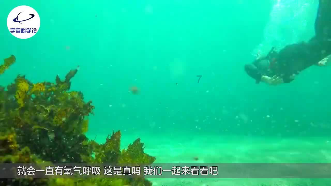田家炳中小学举行防暴恐演练